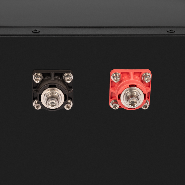 Акумулятор LP LiFePO4 51,2V - 230 Ah (11776Wh) (BMS 200A/100А) метал Smart BT (23543) LP23543 фото