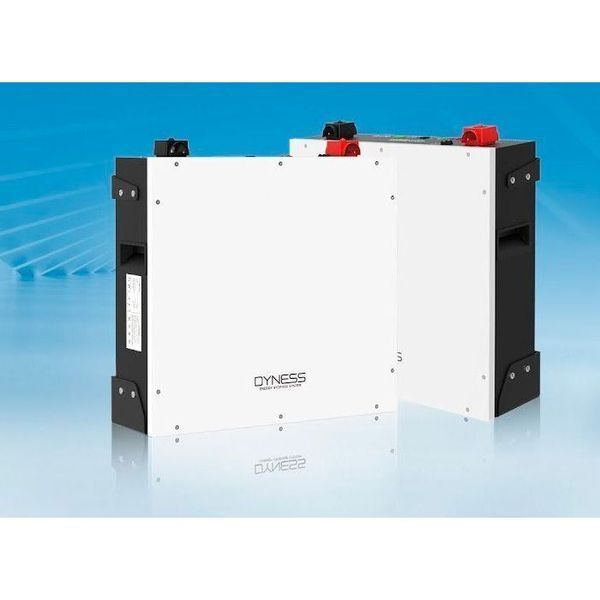 Акумулятор Dyness LiFePO4 48V (51.2V/100Ah/5120Wh) (DL5.0C Heating) 154905 фото